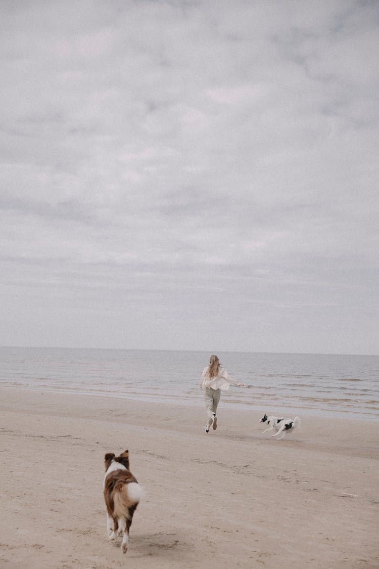 Woman Running With Dogs On Beach