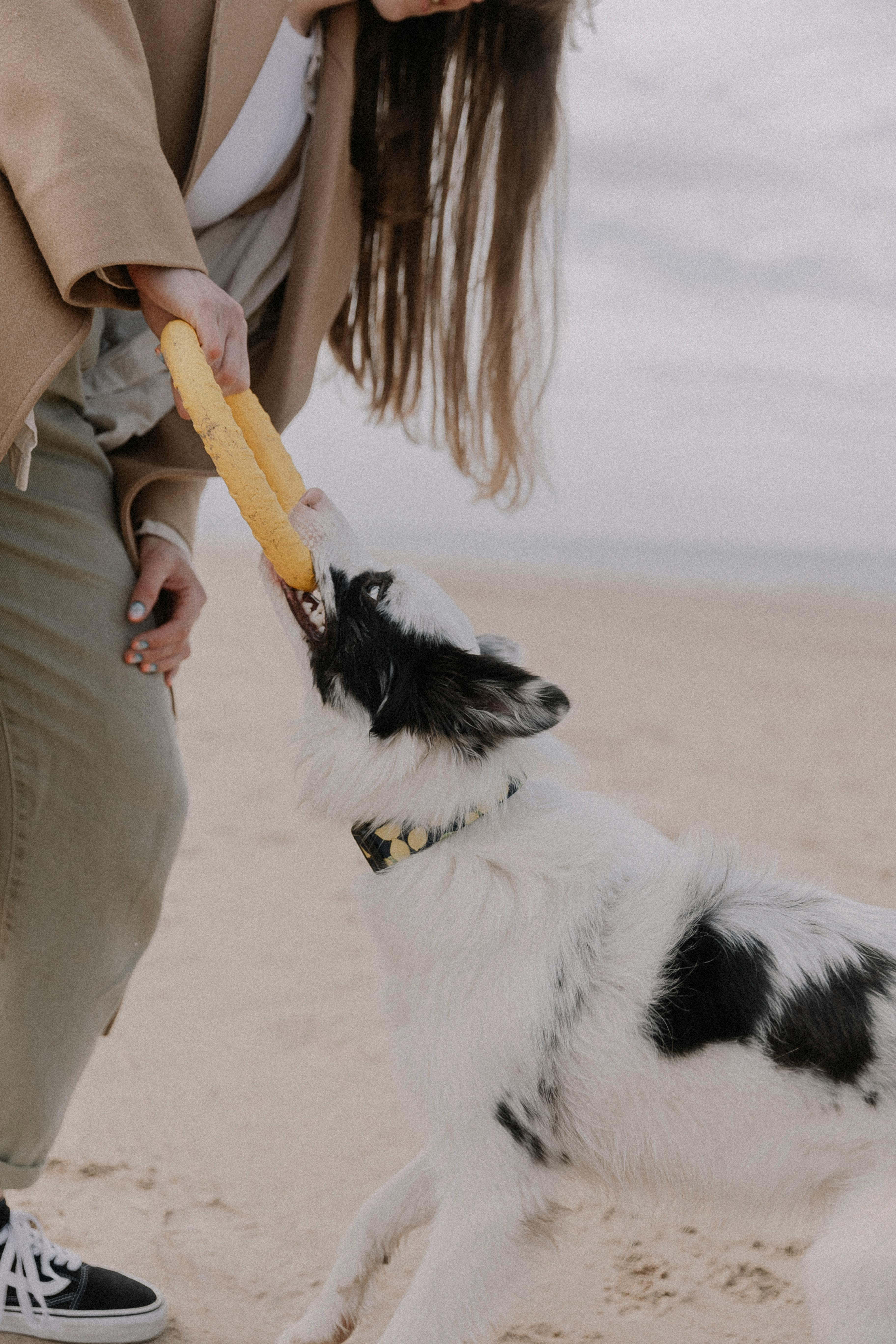 woman playing with dog