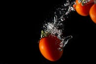 在黑色背景的映衬下，充满活力的西红柿在水下飞溅，营造出戏剧性的效果