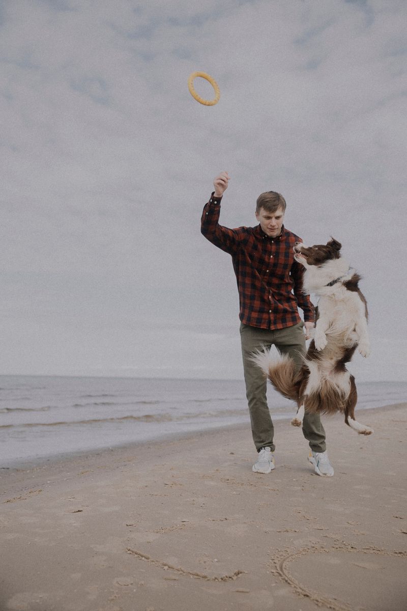 Sahibiyle heyecanla oynayan köpek