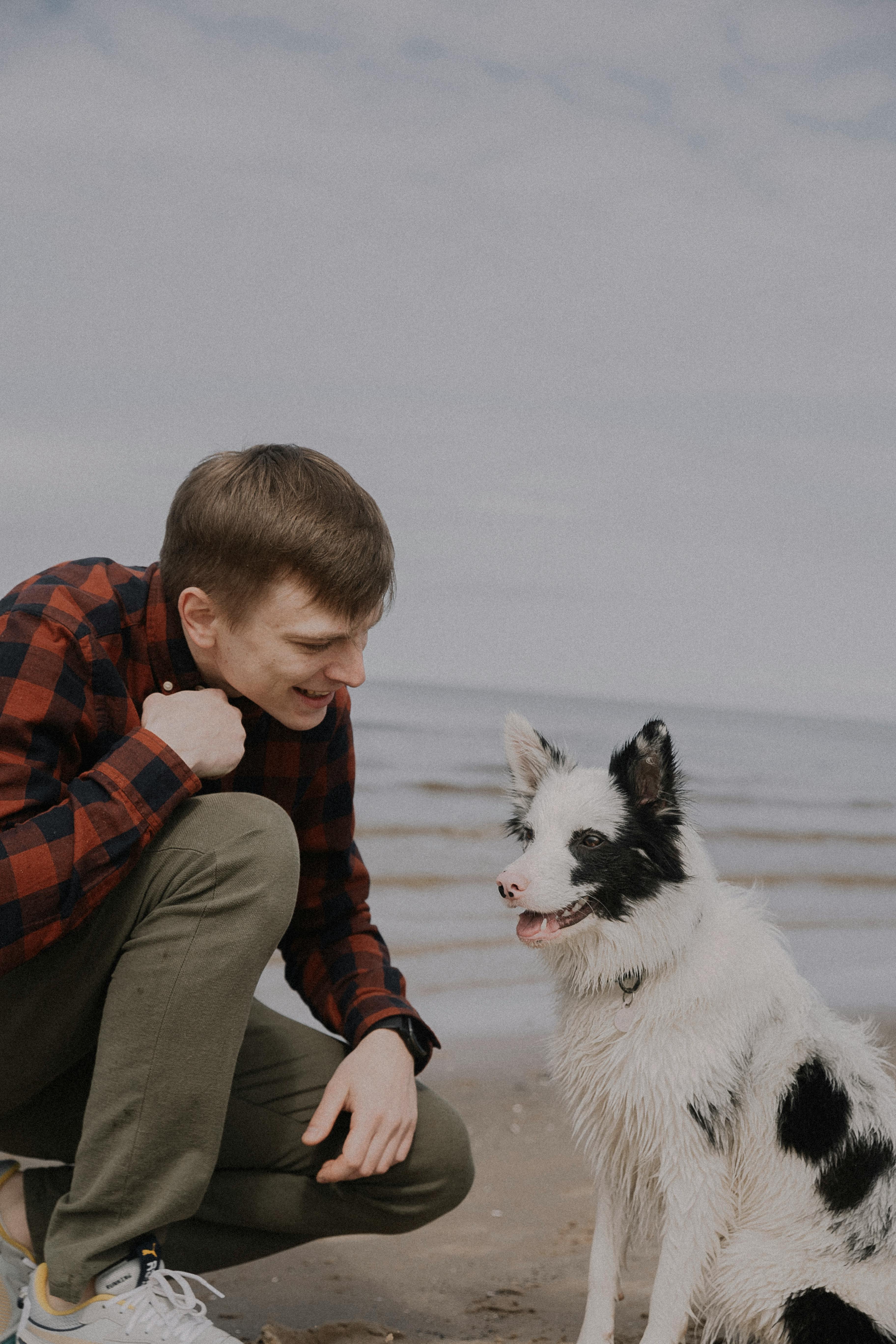 The Fascinating Truth About Dog Noses: Why Wetness Matters in Canine Communication