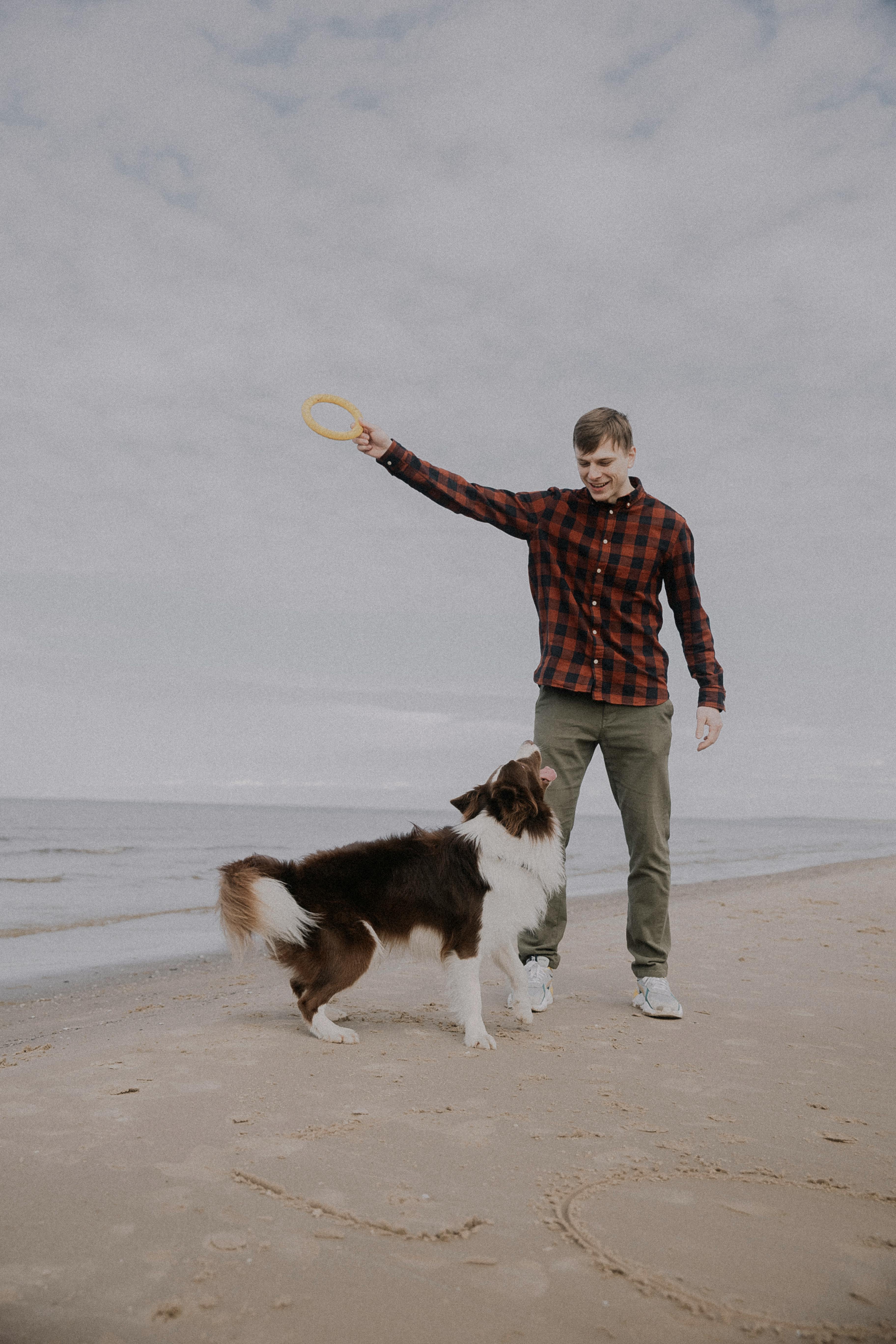 a man playing with a dog on a beach