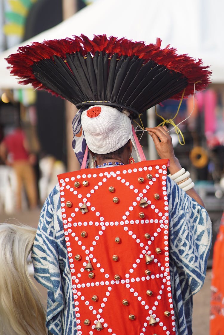 Man In Costume For Festival