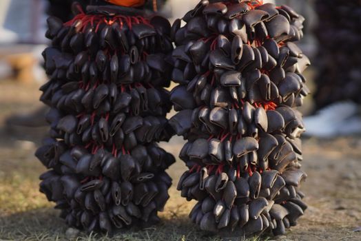 Detailed close-up of handmade musical seed shakers resting on the ground, capturing natural texture.