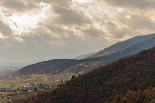Darmowe zdjęcie z galerii z boiska, dolina, góry