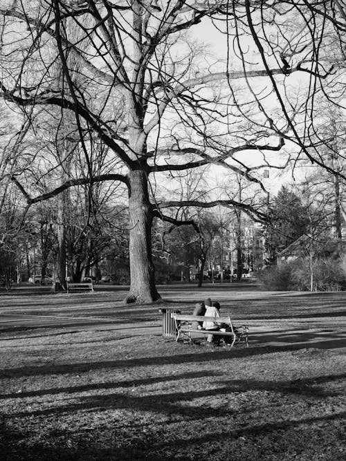 Black and White Photo of People Sitting on a Bench in Park 