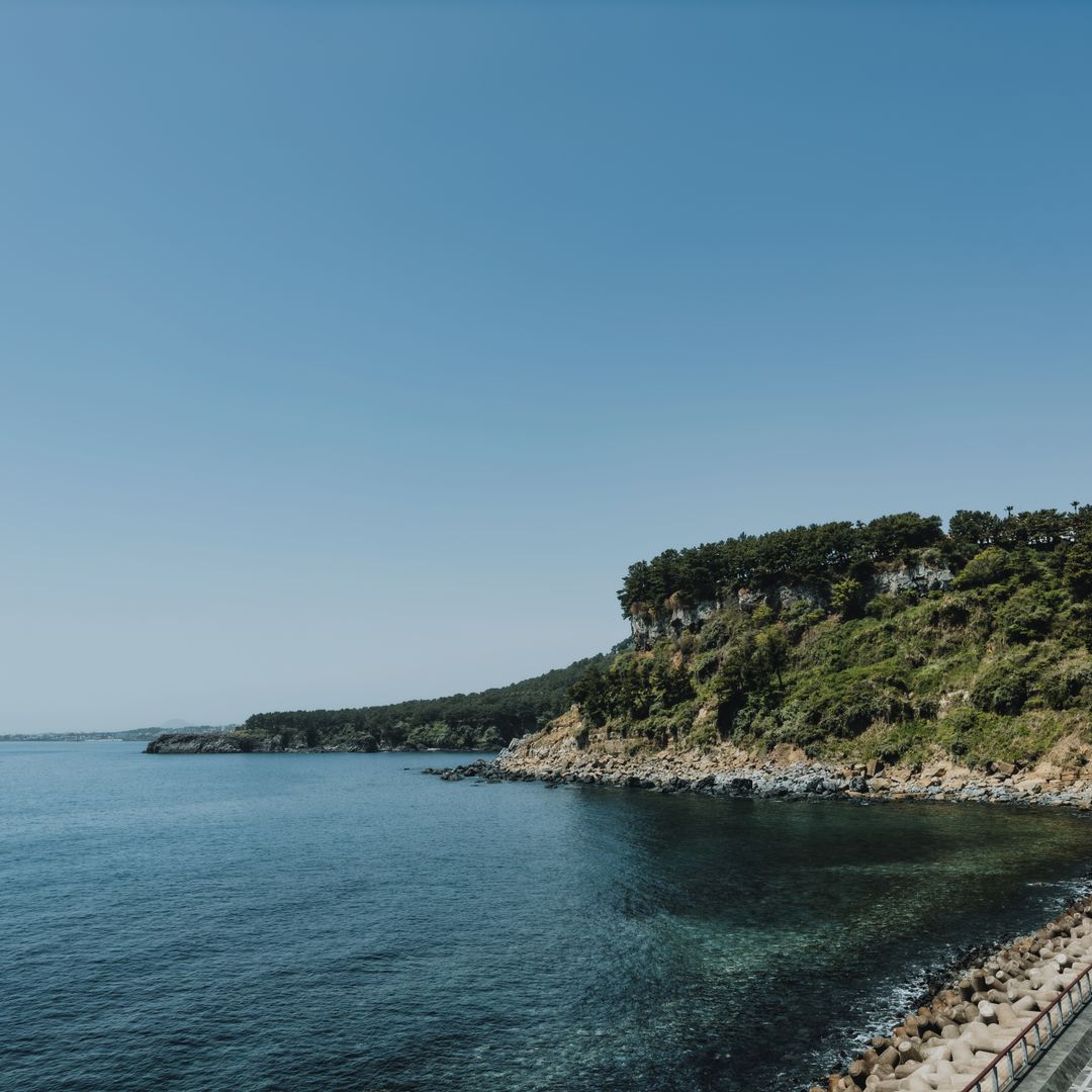 Navigating Jeju Island Autumn Travel with Public Transport and Seasonal Insight