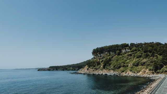 Breathtaking view of Jeju Island's coastline with clear skies and lush greenery. — lounges at Jeju Island Airport