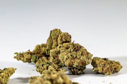 Gratis lagerfoto af cannabis, cbd, græs