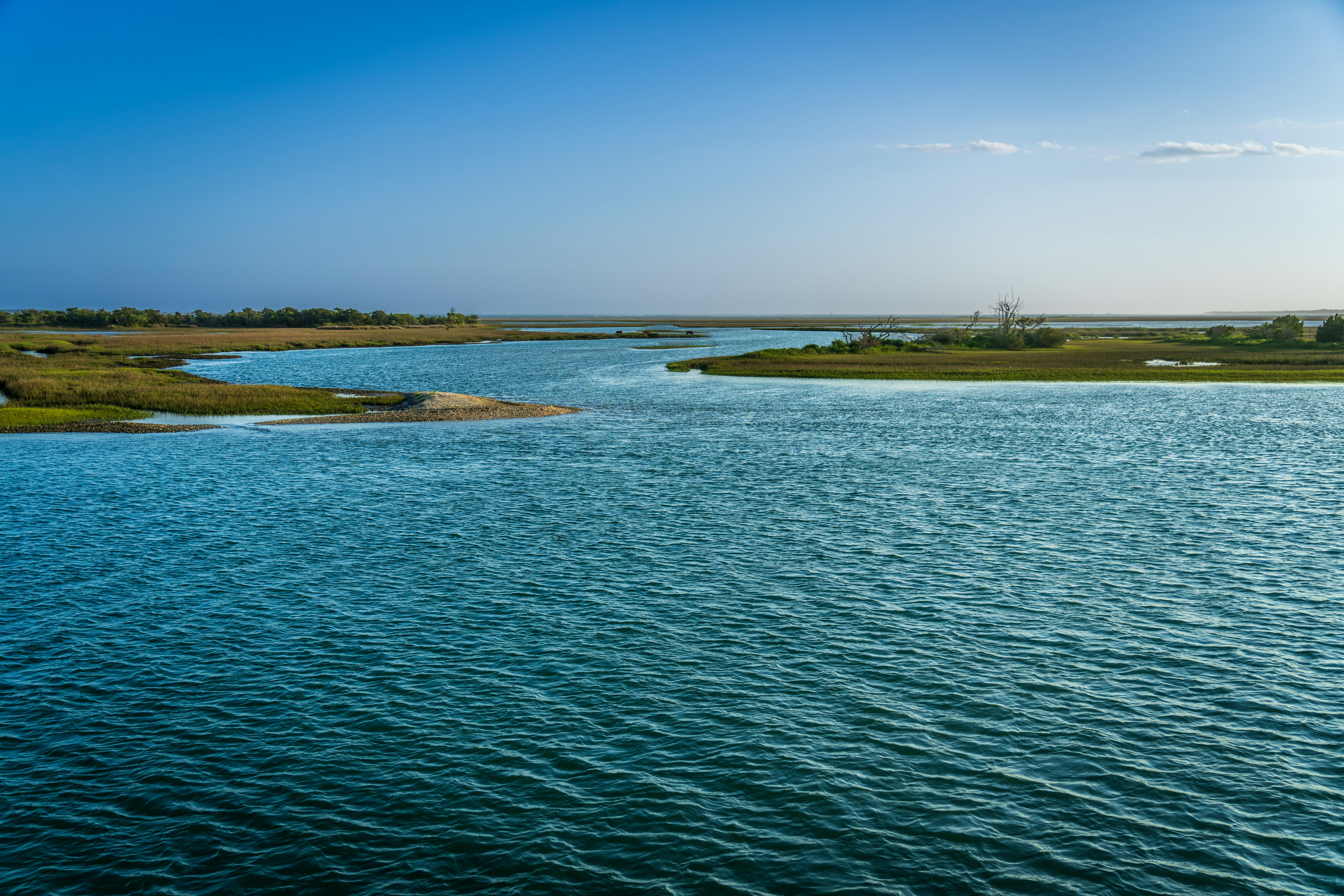 Point Lookout State Park To Adapt Facilities, Build Living Shoreline for Climate Resilience — Photo by Mark Stebnicki on Pexe
