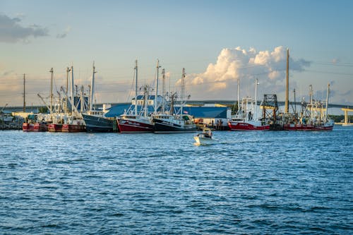 Trawlers in Harbor