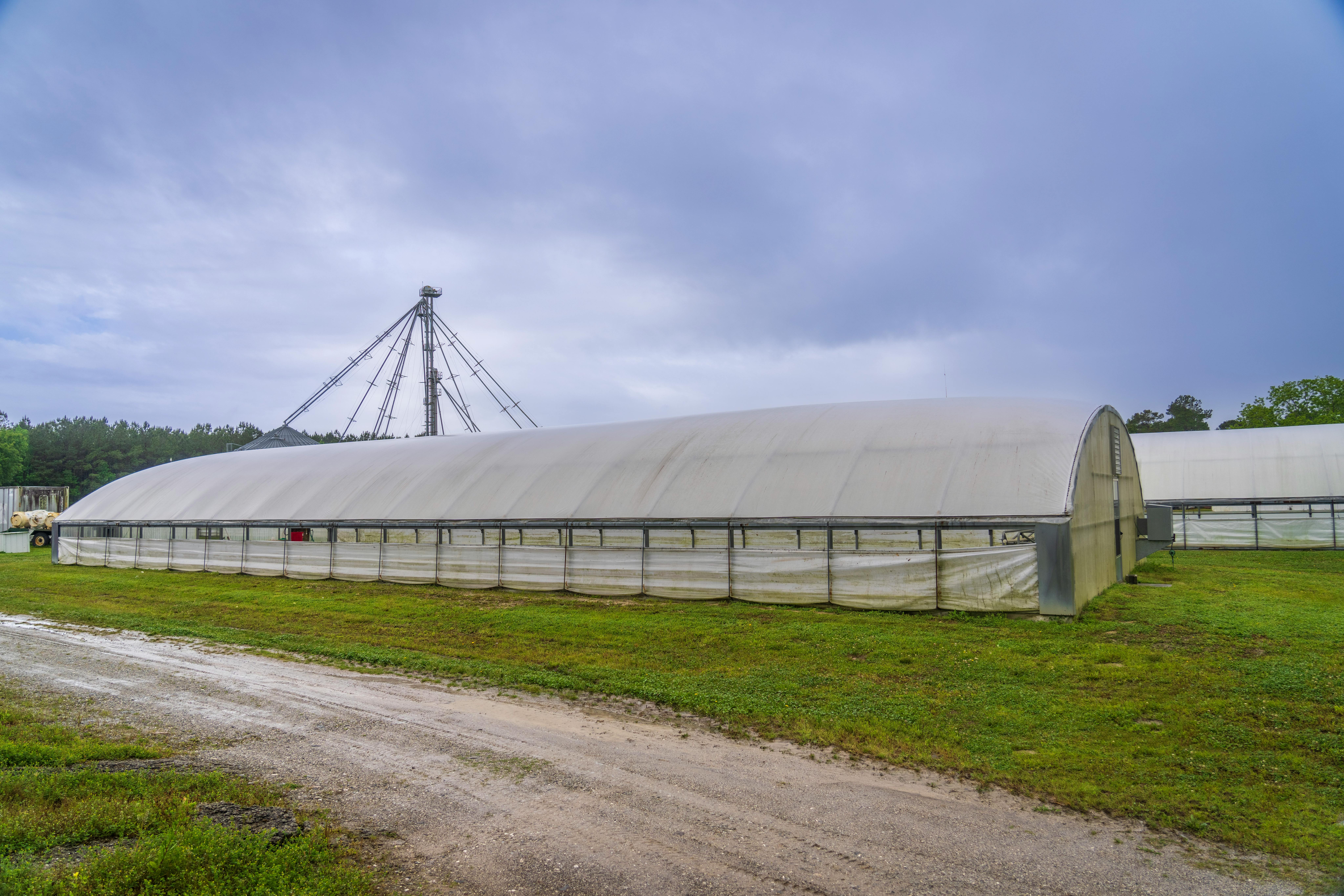 Good Day Farms accused of illegal monopoly by Missouri cannabis companies — Photo by Mark Stebnicki on Pexels
