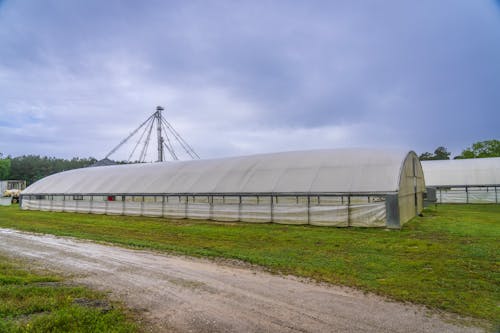 Gratis stockfoto met boerderij, broeikas, landbouw