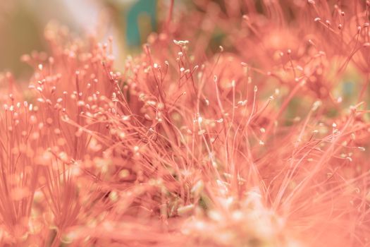 Free stock photo of abstract, beautiful, bright