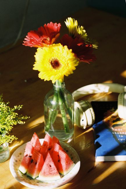 A sunlit table with vibrant flowers in a glass vase and watermelon slices.