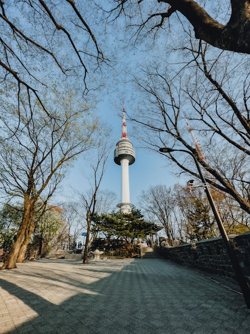 View of the N Seoul Tower, Seoul, South Korea 