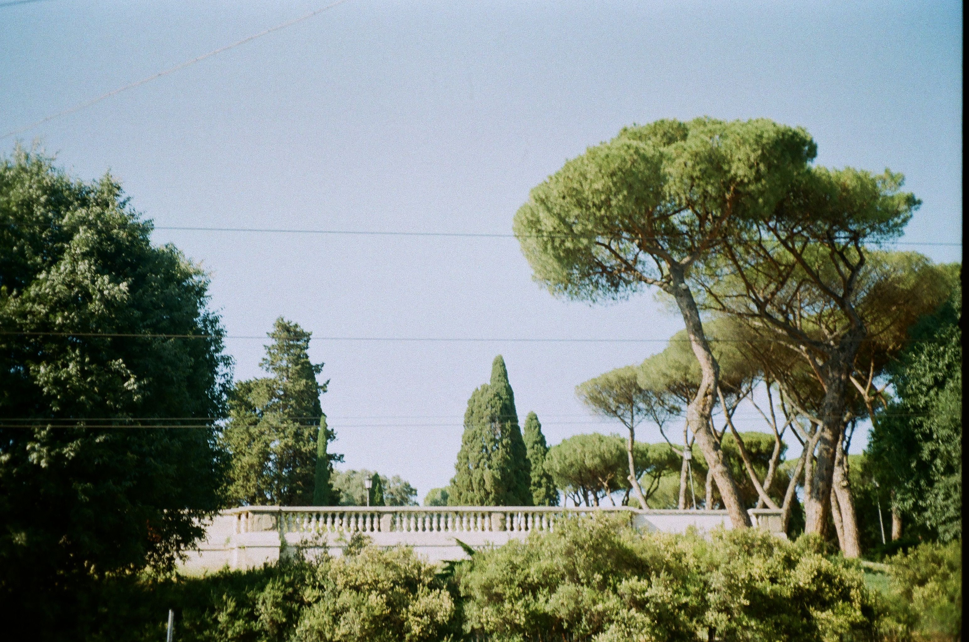 Giardino Torrigiani