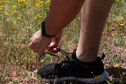 Free stock photo of field, fitness, flowers Stock Photo