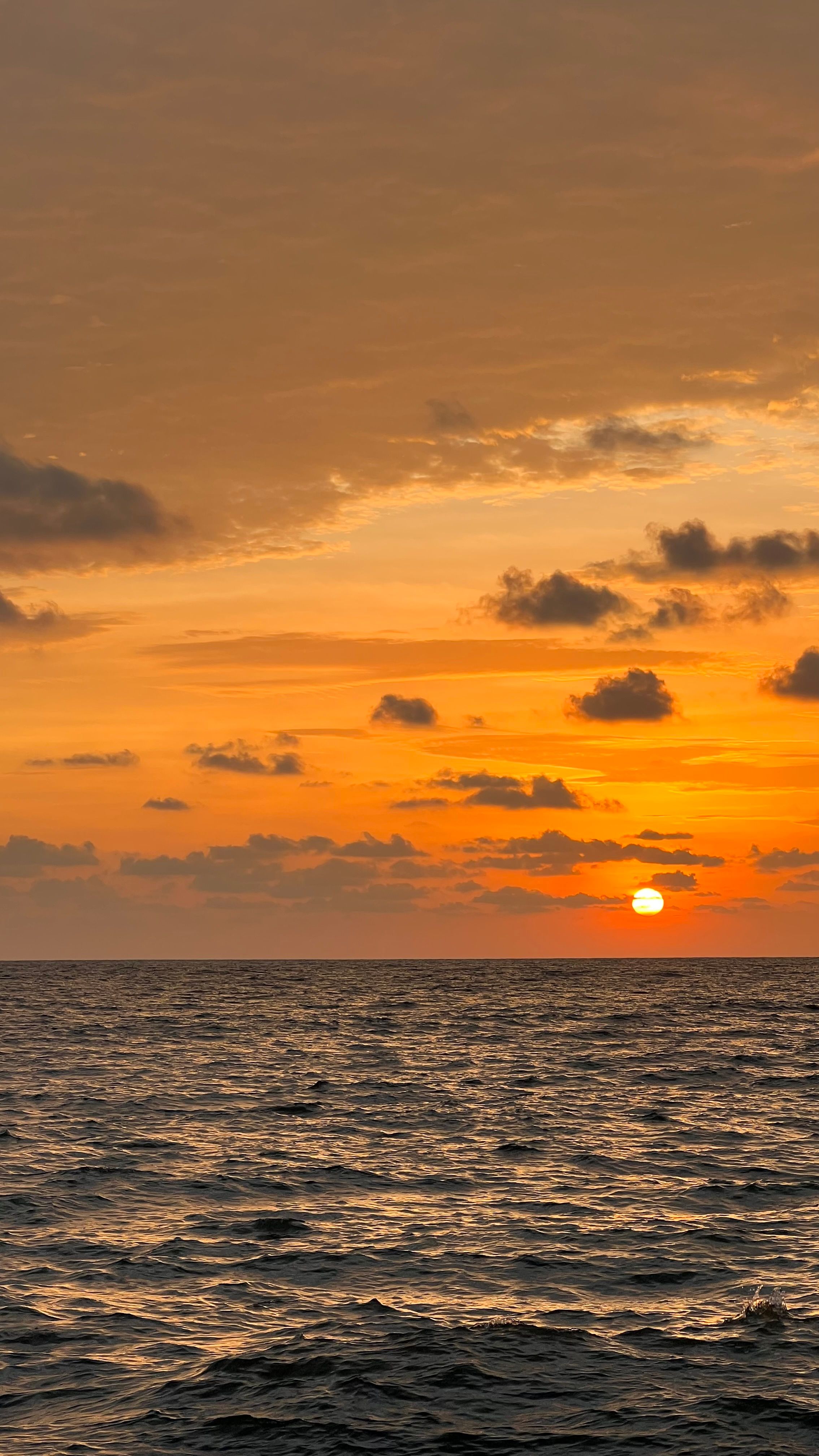 Yellow Sky over Sea Coast at Sunset · Free Stock Photo
