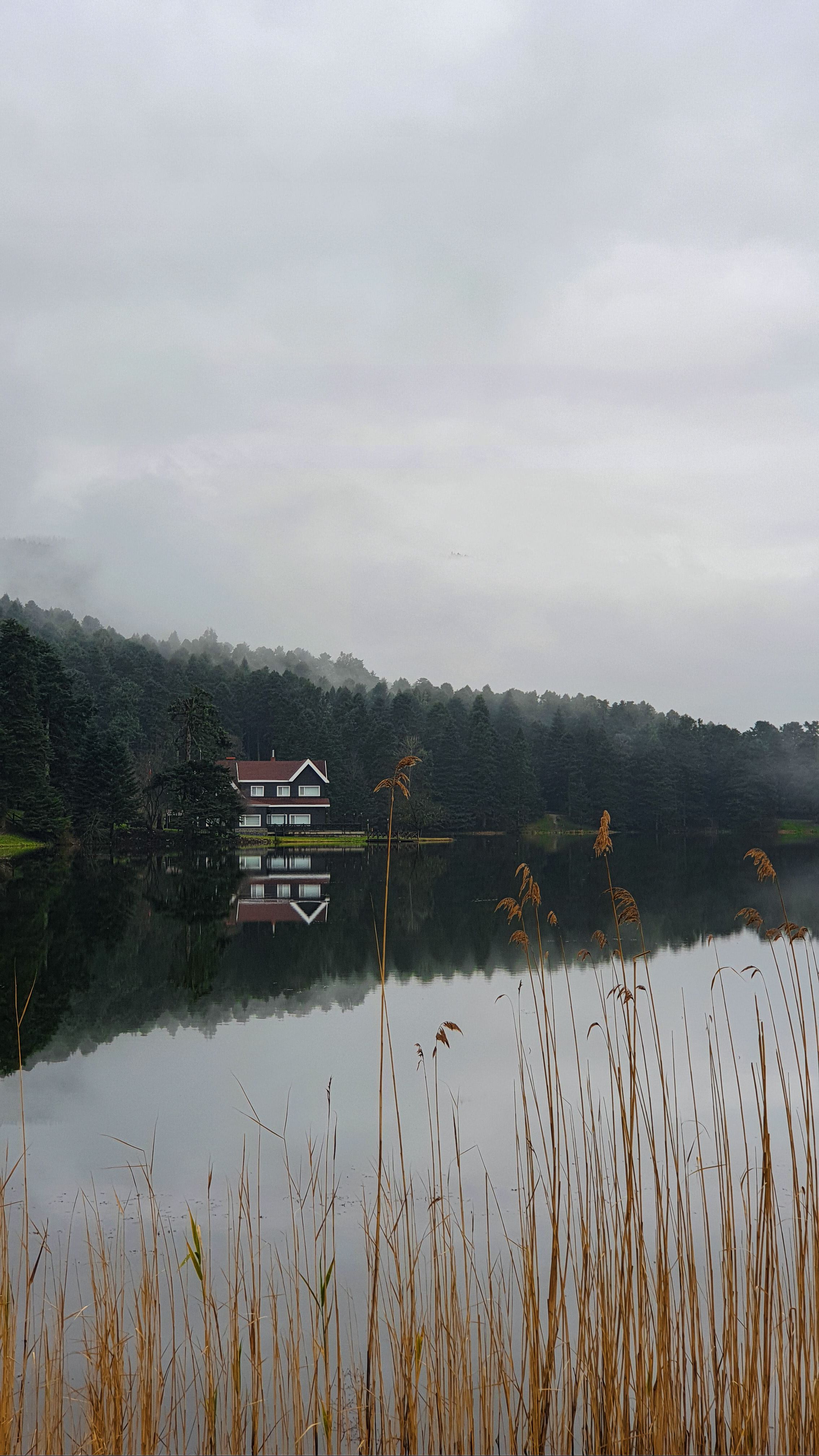 Serene lakeside view with a house and misty forest in Bolu, Türkiye.