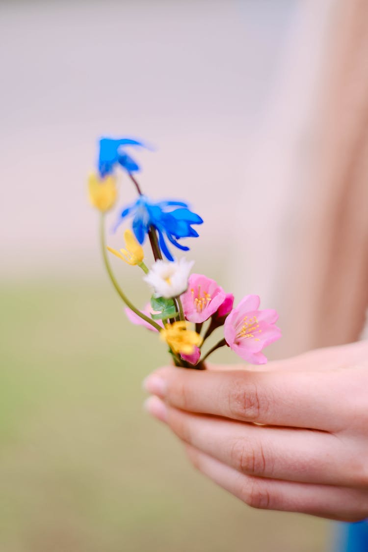 Woman Fingers Holding Colorful Flowers