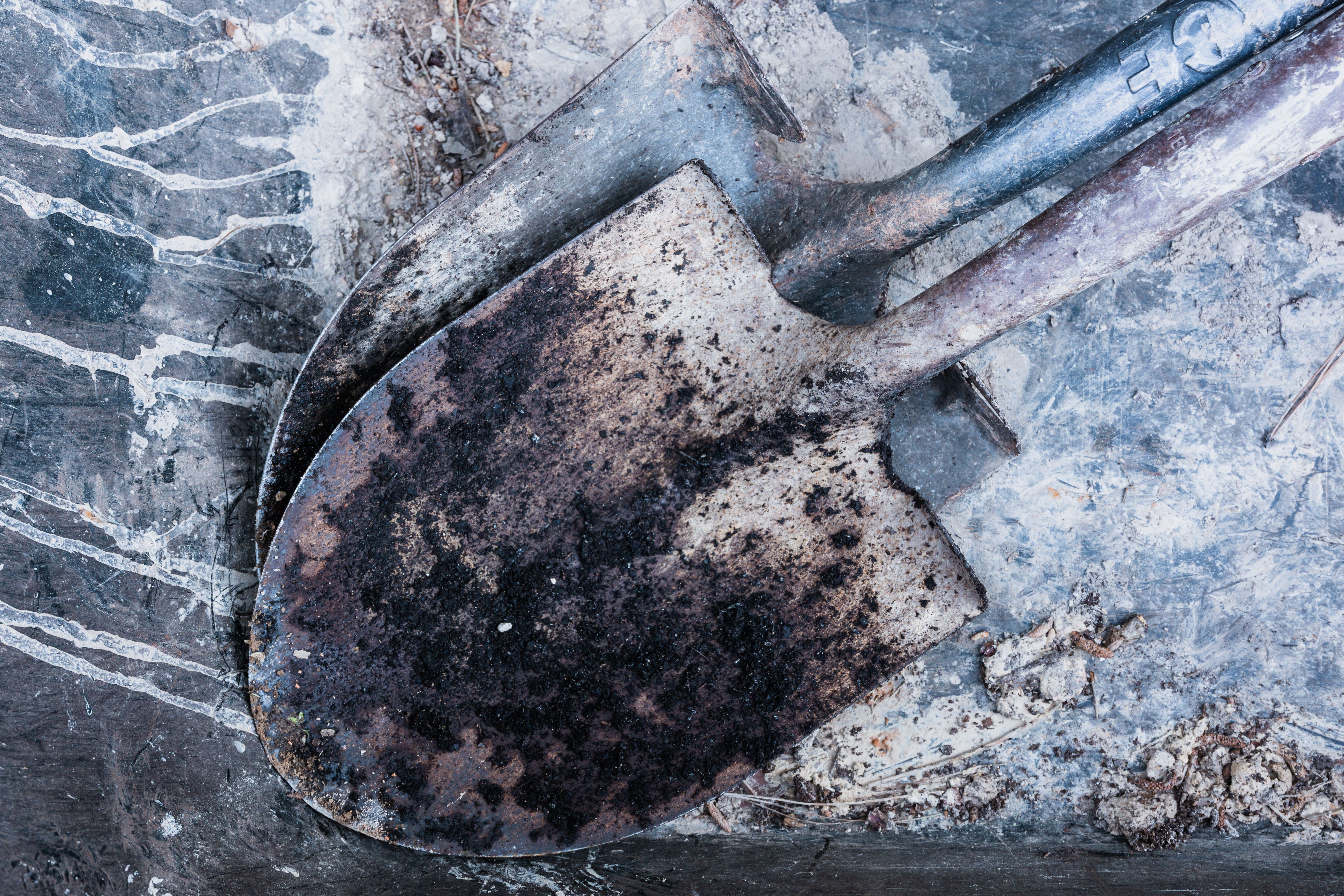 Garden Tools and Pruners