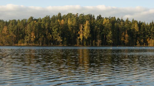 Základová fotografie zdarma na téma litva, modrá voda, modré jezero