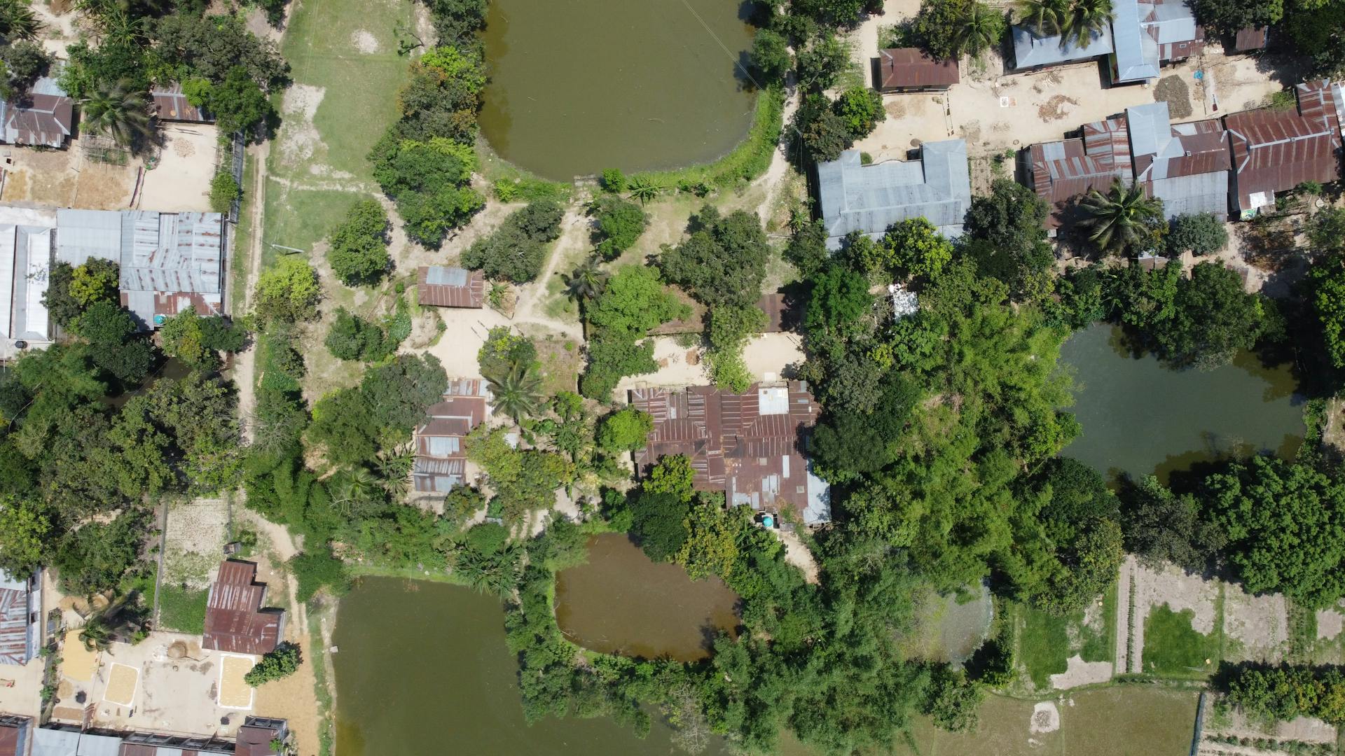 Aerial view of Putijuri, a lush village with ponds, trees, and rustic houses in Sylhet, Bangladesh.