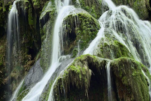 Foto stok gratis air, air mengalir, air terjun