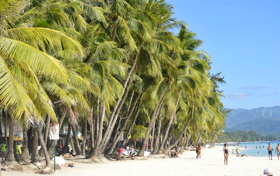 A family enjoying a day at the beach, swimming, playing, and relaxing in a clean and beautiful environment