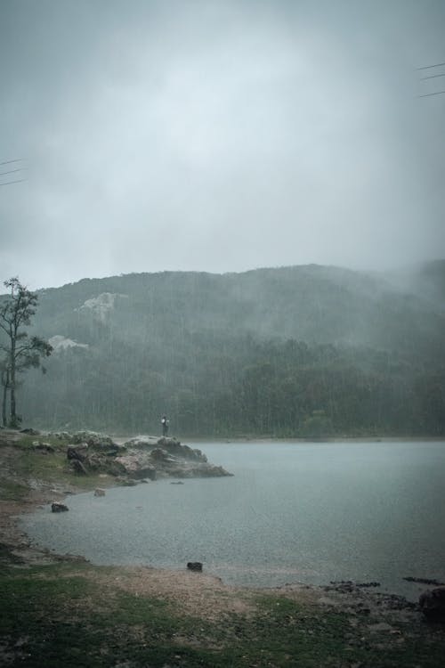 Immagine gratuita di cloud, foresta, lago