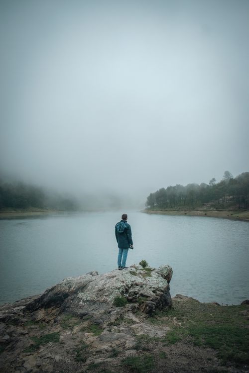 Free A man stands by a misty lake surrounded by fog and forest in Guanajuato. Stock Photo