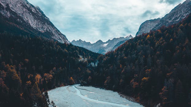 俯瞰美丽的秋色山间森林，宁静的河流在下方流淌