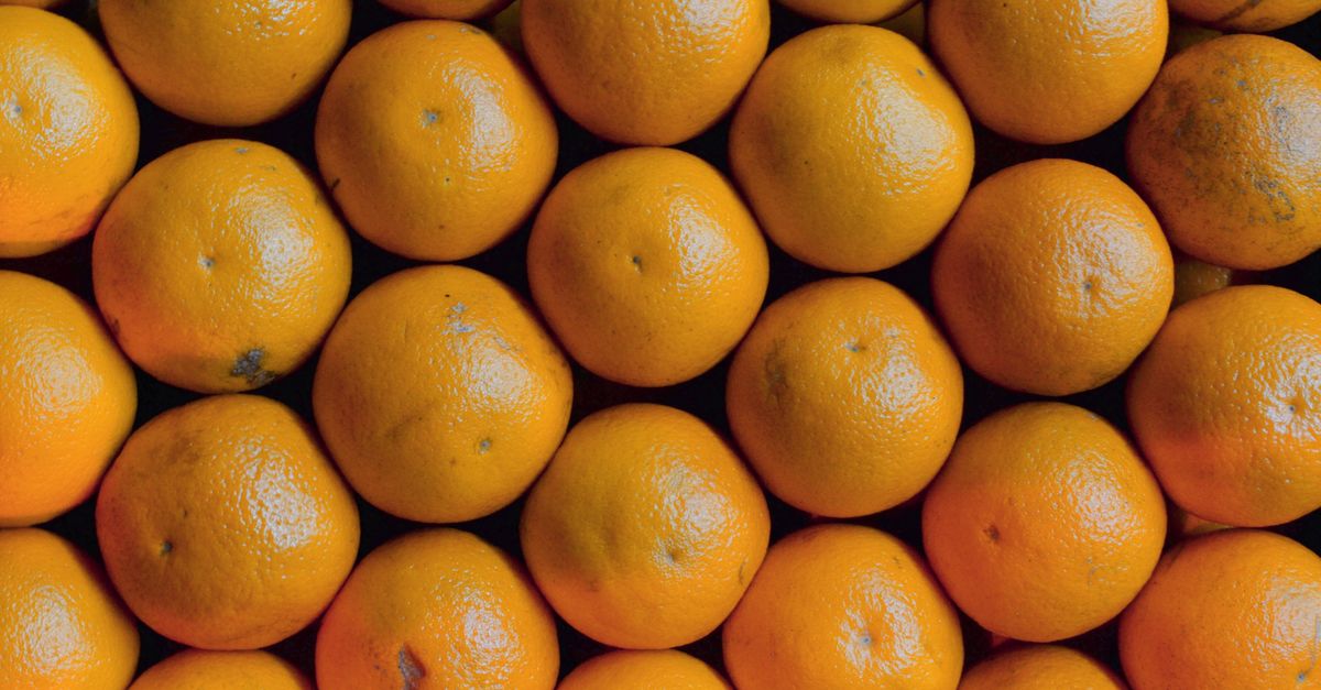 Ripe Row Rows of Ripe Tangerines · Free Stock Photo