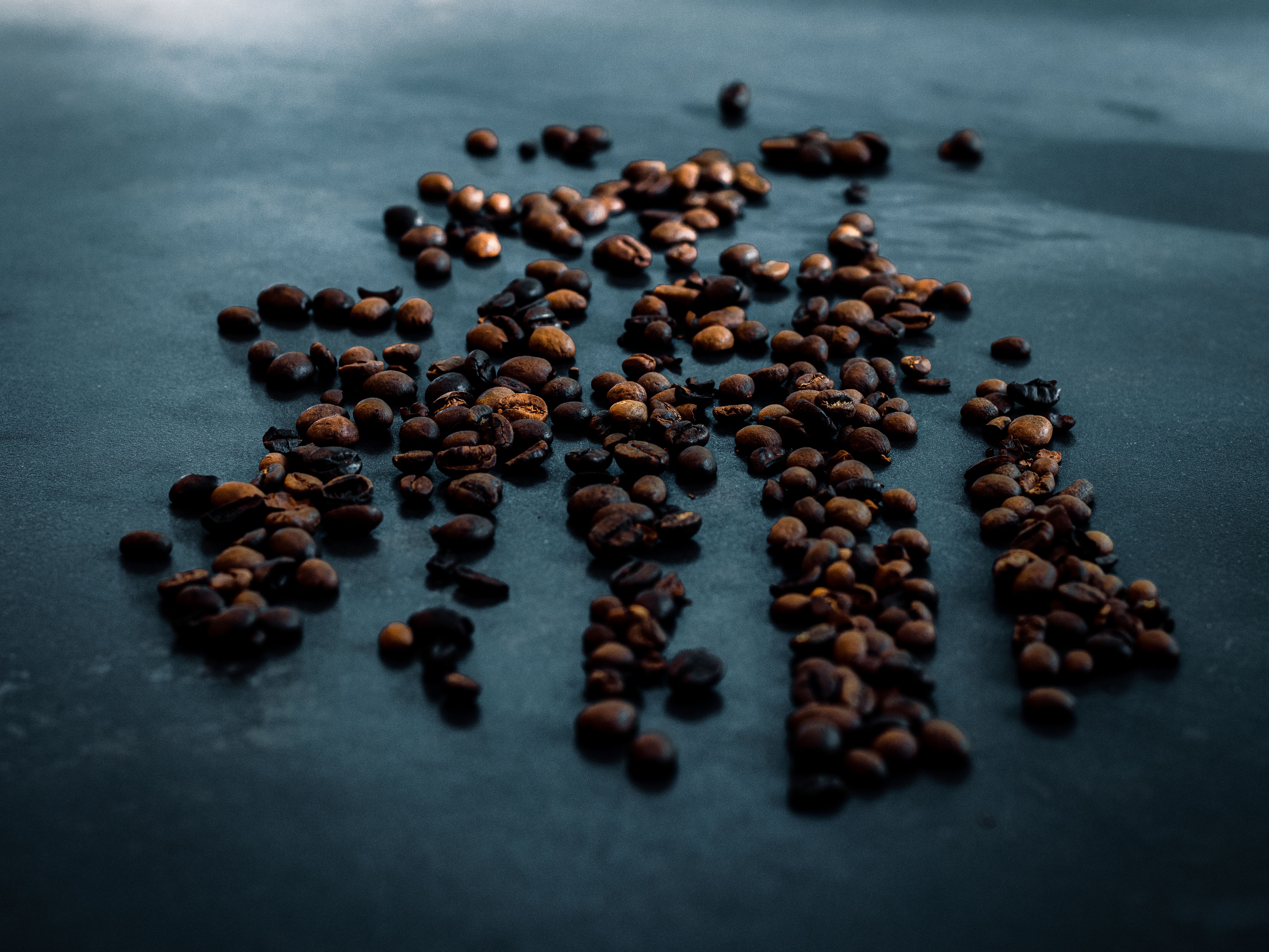 premium single origin coffee blends