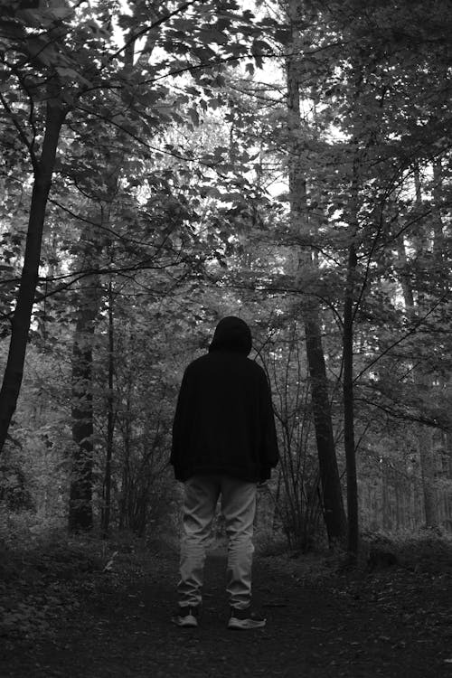 Immagine gratuita di bianco e nero, escursionismo, felpa con cappuccio
