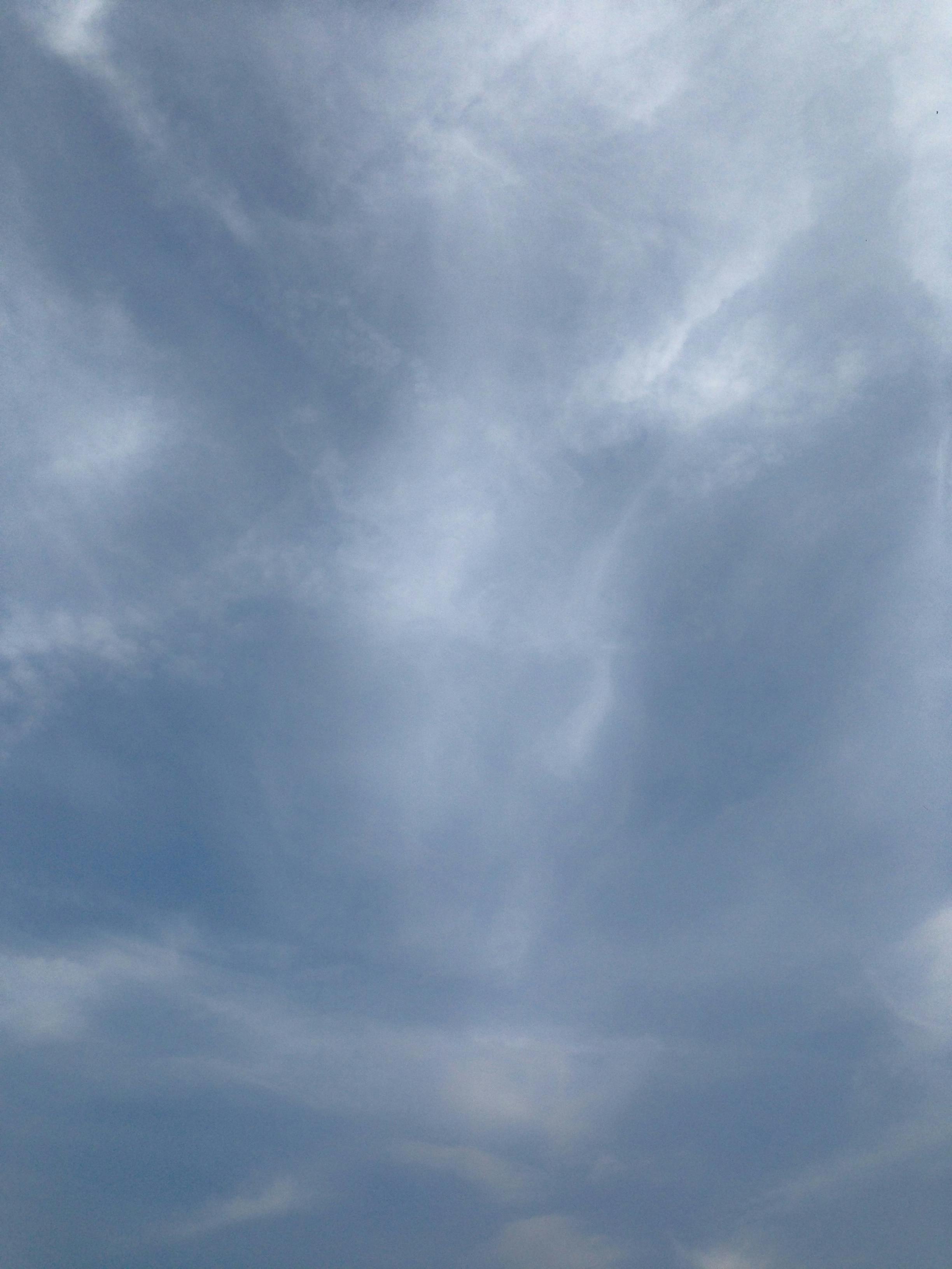 すべての美しい花の画像 ラブリー壁紙 アイフォン 5