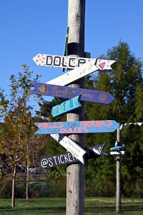 Colorful Directional Signs in Park