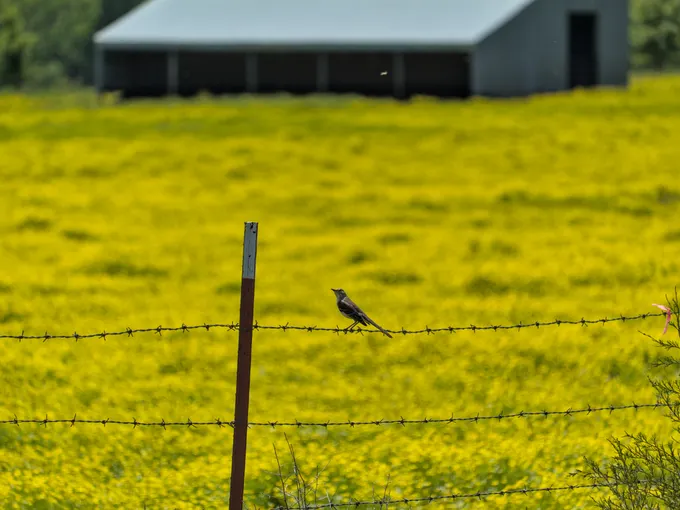 4. 가장 많이 오해하는 '손실 20%'의 실제 의미