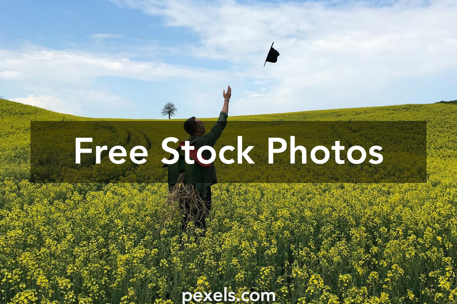 Canola Oil Photos, Download The BEST Free Canola Oil Stock Photos & HD ...