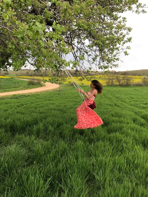 Woman Swinging on a Tree Swing 