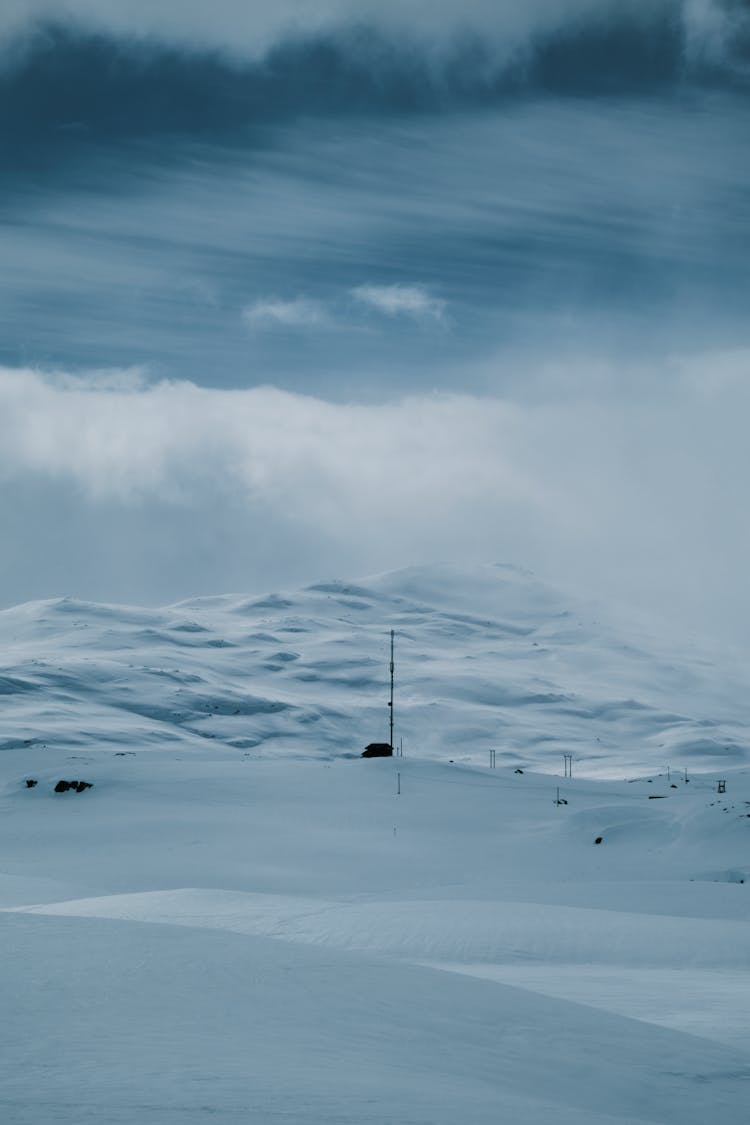 Winter Landscape 