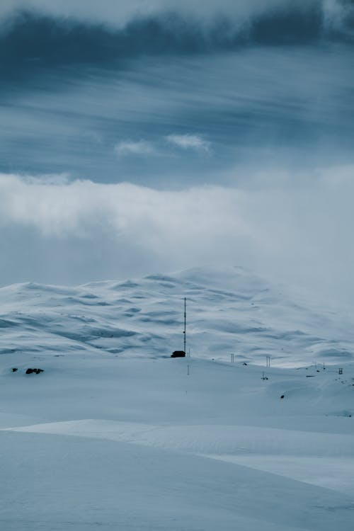 Free Winter Landscape  Stock Photo