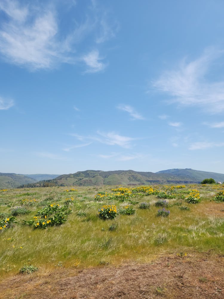 Scenic Landscape Of A Hill 