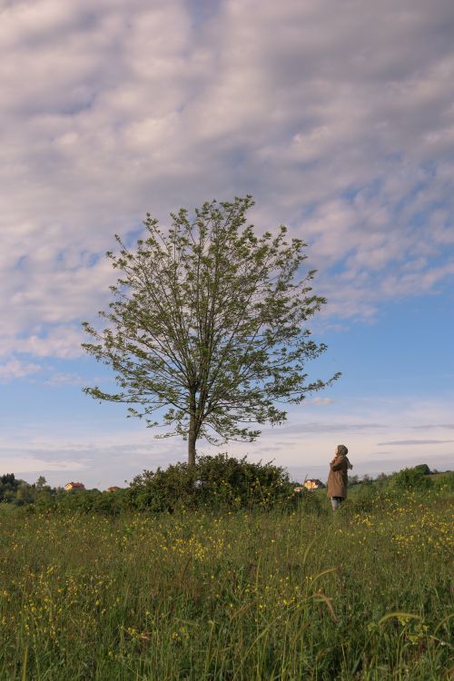 Free A woman in a meadow stands near a lone tree beneath a cloudy sky, exuding tranquility. Stock Photo