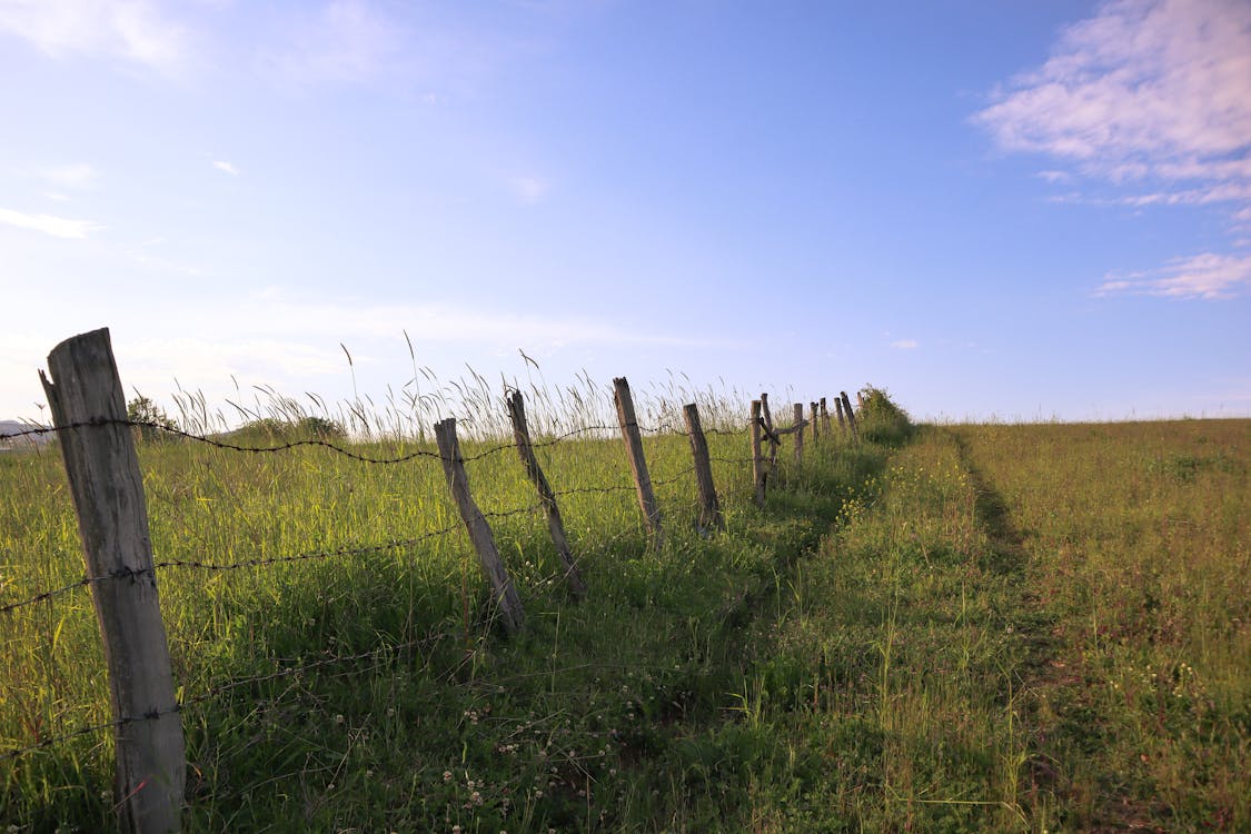 A Barbed Wire Fence on the Field in the Countryside 