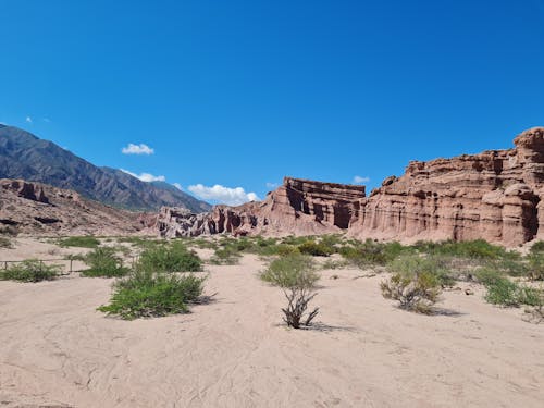 Landscape of Sandstone Formations and Mountains on the Desert