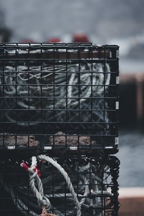 Stack of Empty Fishing Nets · Free Stock Photo