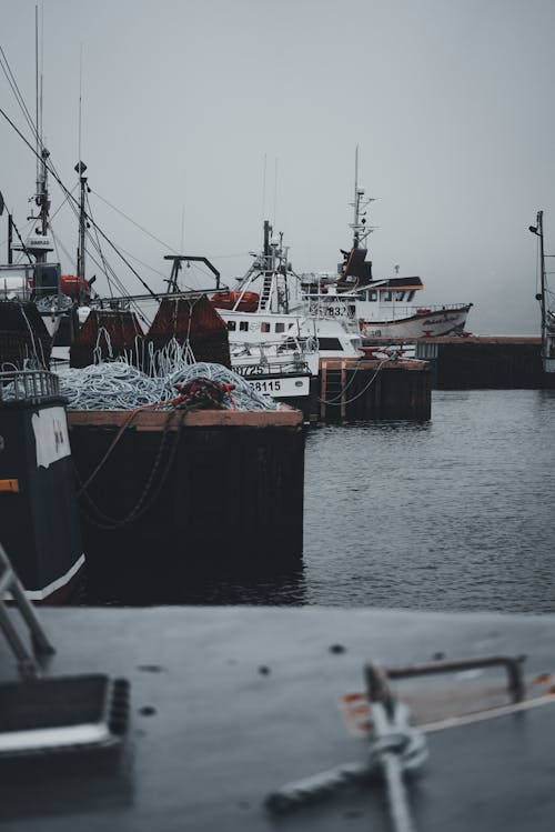 Fishing Boats in the Harbor 