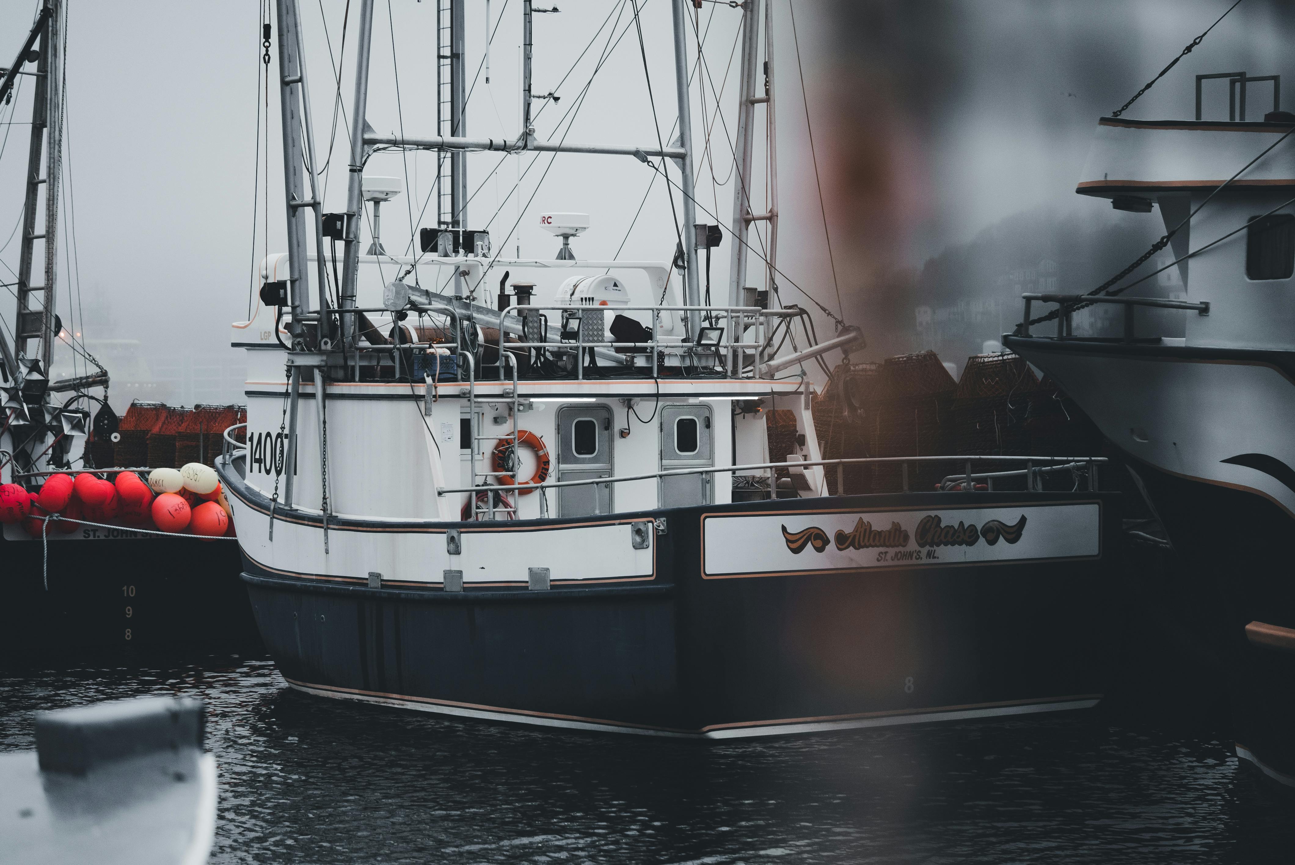 Free A moored fishing boat in a misty harbor with colorful buoys on a foggy day. Stock Photo